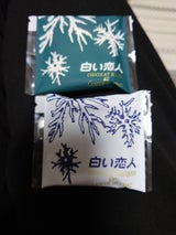 石屋 白い恋人 24枚