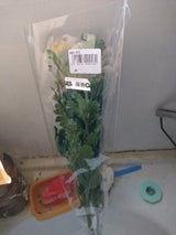 ジェイアンドエフ 切花