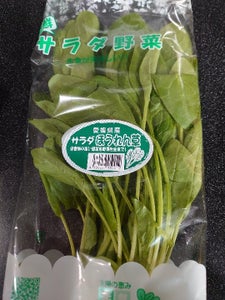 石川　サラダ法蓮草　１００ｇのレビュー画像