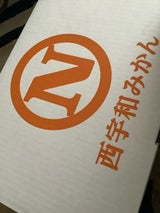 JAにしうわ Nマーク川上みかん 3kg