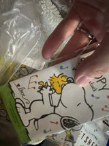 タンポポオトシダマフクロ サンリオスヌ-ヒ