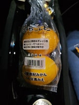 JA三重 マイヤーレモン 2個