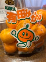 東邦フイルム 有田みかん 特大