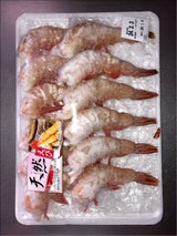 東洋 ホワイトえび 16-20 12尾