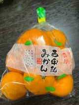 四国 甘小粒みかん