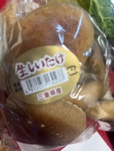 カネ井青果 なましいたけ