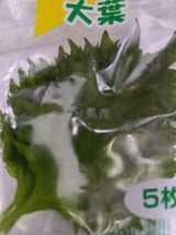 マルニ 大葉 5枚