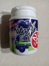 三菱食品 かむかむ巨峰ボトル 120g