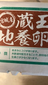 一條 蔵王 卵 10個