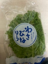 豊橋温室 わさびなリーフ 1P