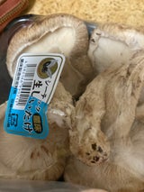 シーテック 菌床生しいたけ 150g