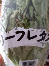 遠州中央 リーフレタス 1個