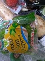 JA高知 ピーマン