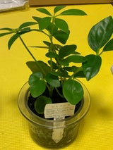 三浦 炭植 環境改善 110