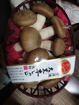 瑞穂農林 大黒本しめじ大判 250g
