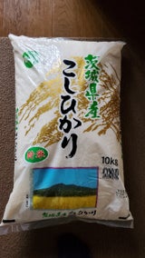 田島屋 茨城産こしひかり 10kg