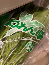 ジェイ・ピー JA阿蘇ほうれん草