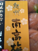 和歌山の梅 紀州南高梅 ハチミツ 1P