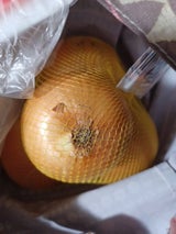 東京インキ 玉ねぎネット