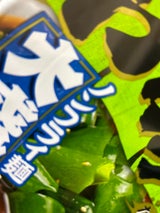 明星 旨だし屋 わかめラーメン 大盛 99g