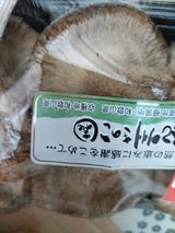 石橋 菌床生しいたけ 100g