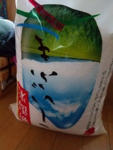 諸長 新潟産 こしいぶき 10kg