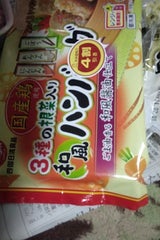 四国日清食品 3種の根菜入り和風ハンバーグ