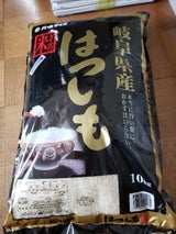 パールライス 量販ハツシモ 10kg