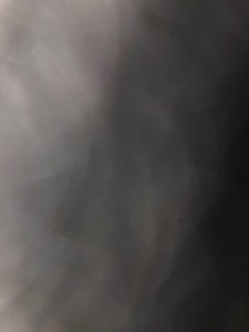 エクレア風クレープ（ミルキークリーム）のレビュー画像