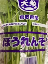 ホリアキ ほうれんそう鳥取産用袋
