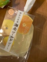 ナチュレ 湘南ゴールドゼリー