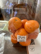 春日井 みかんS