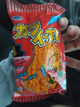 共同食品工業 カライーカ 5枚