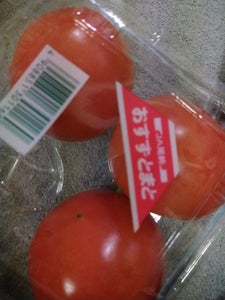 宮崎県　トマト　５００ｇの商品写真