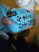 カカシ 新潟発コシヒカリ 5kg