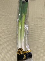 農業革命 埼玉県産てっぺんねぎ