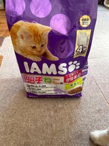 アイムス 子ねこ用 チキン IC211 1.5kg