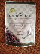 横井チョコ 大豆チョコミルク 55g