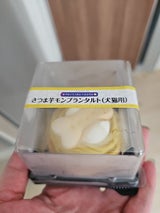 ペットライブラリー さつま芋モンブランタルト