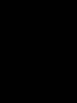 ヴァーチュ デコれーとペンホワイト 12g