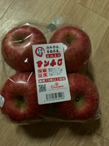 諏訪 青森県産りんご サンふじ 40玉6個入