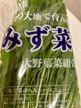 全農 石川水菜