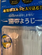歯間のお掃除しま専科 歯のようじ 80本入