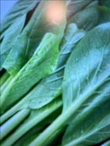 群馬中央 小松菜群馬県産 1P