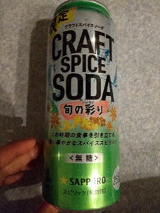 クラフトスパイスソーダ　旬の彩り　缶　５００ｍｌの商品写真