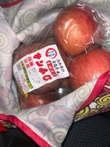 諏訪 青森県産りんご サンふじ 46玉6個入