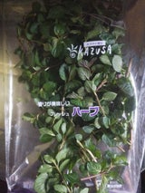 カズサ ペパーミント 20g