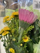 松本屋 和花 480