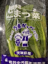 岩井中央 こまつな 1P