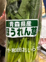 JA十和田 TOM-VEGEほうれん草 1P